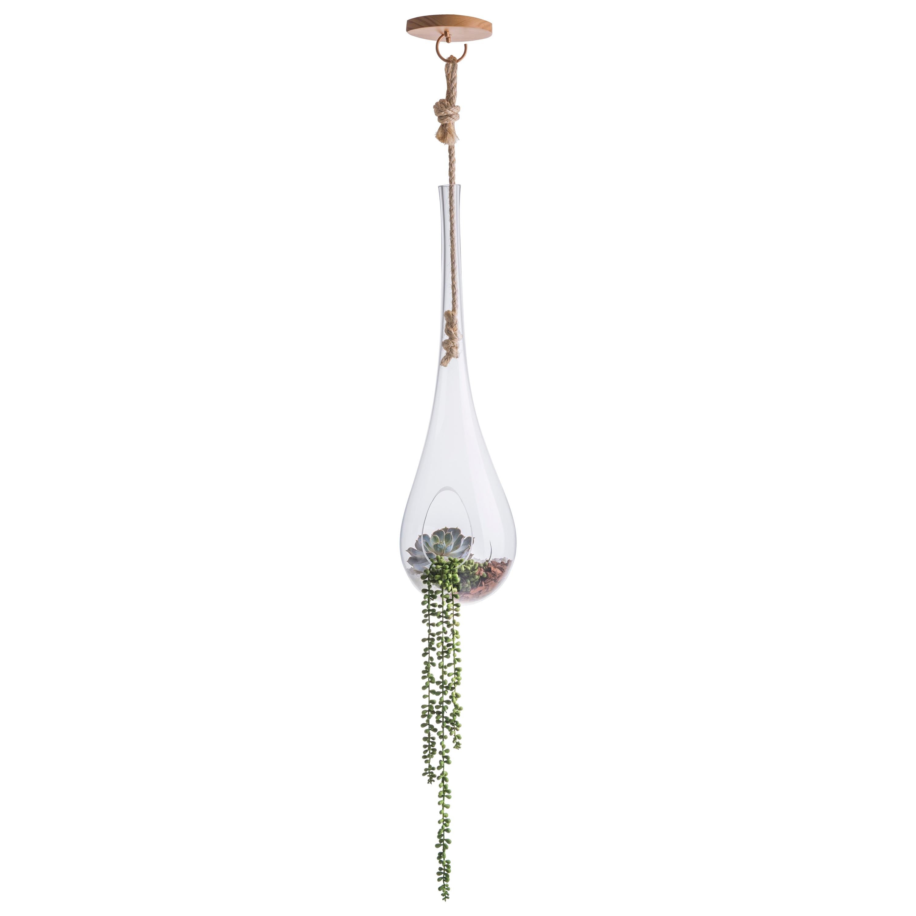 Suspended Terrarium Nest Small Cupola, Brazilian Wood, Glass and Sisal For Sale