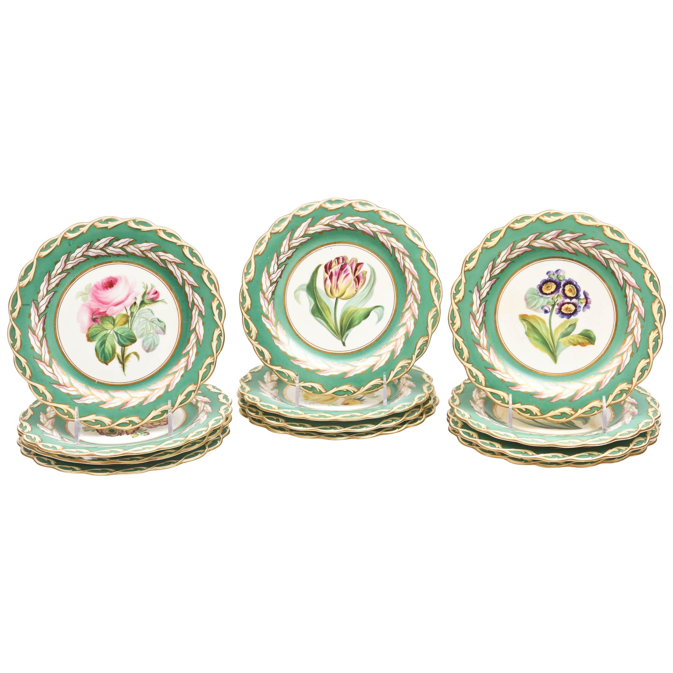 12 Antique Botanical Plates, English Porcelain 19th Century Handpainted Florals