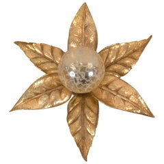 Wall Lamp by Willy Daro for Massive, 1970s