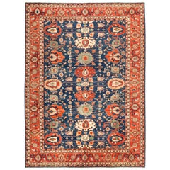 Pink Rugs and Carpets