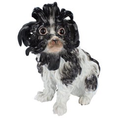 Antique Meissen Porcelain Bolognese Dog Figurine