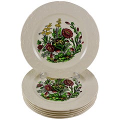 Copeland Spode English Enameled Transferware Cactus Flower Dinner Plates S/6