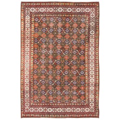 Alfombra kurda antigua con diseño integral en marrón/verde, rojo y azul