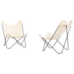 Pair of "Tripolina" Chairs by Gastone Rinaldi