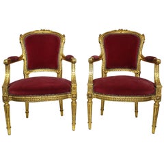 Louis XVI Chairs