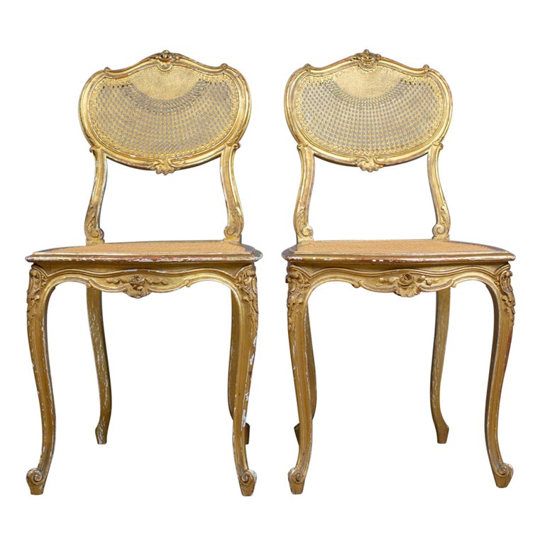 Antique Louis XV Revival Salon Chairs, French, Giltwood, Cane, Circa 1900 Antique Louis XV Revival Salon Chairs, French, Giltwood, Cane, circa 1900 For - Antique Louis XV Revival Salon Chairs, French, Giltwood, Cane, Circa 1900