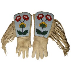 Animal Skin Native American Objects
