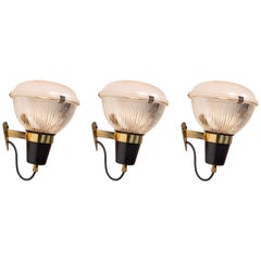 Mid-Century Modern Wall Lights and Sconces