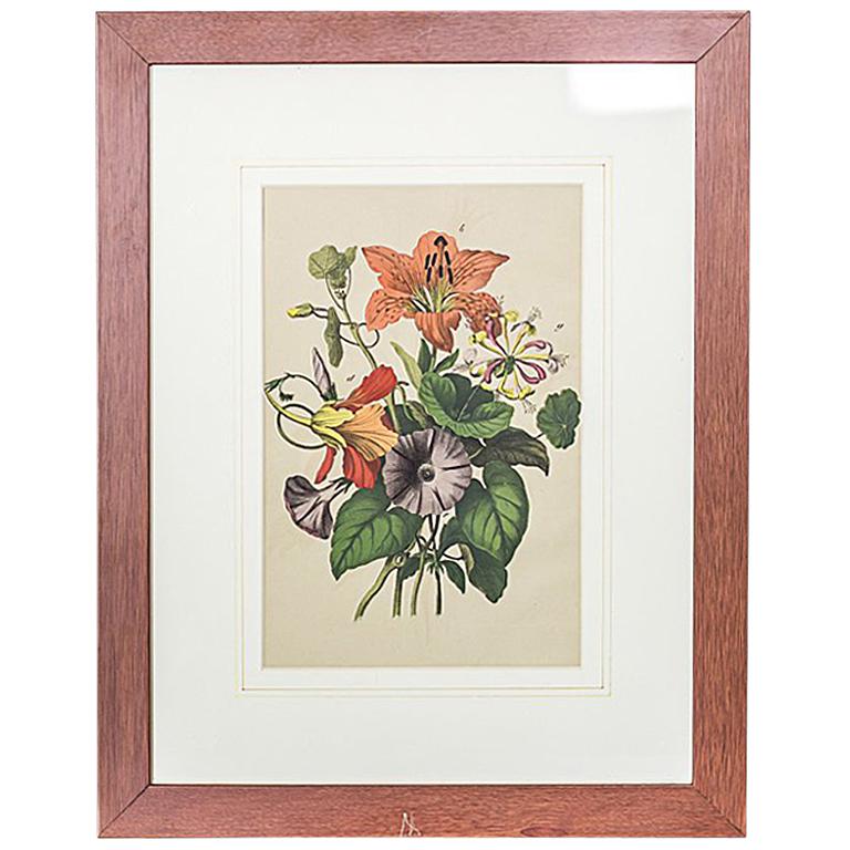 20th Century Colorful Graphic or Nasturtiums For Sale