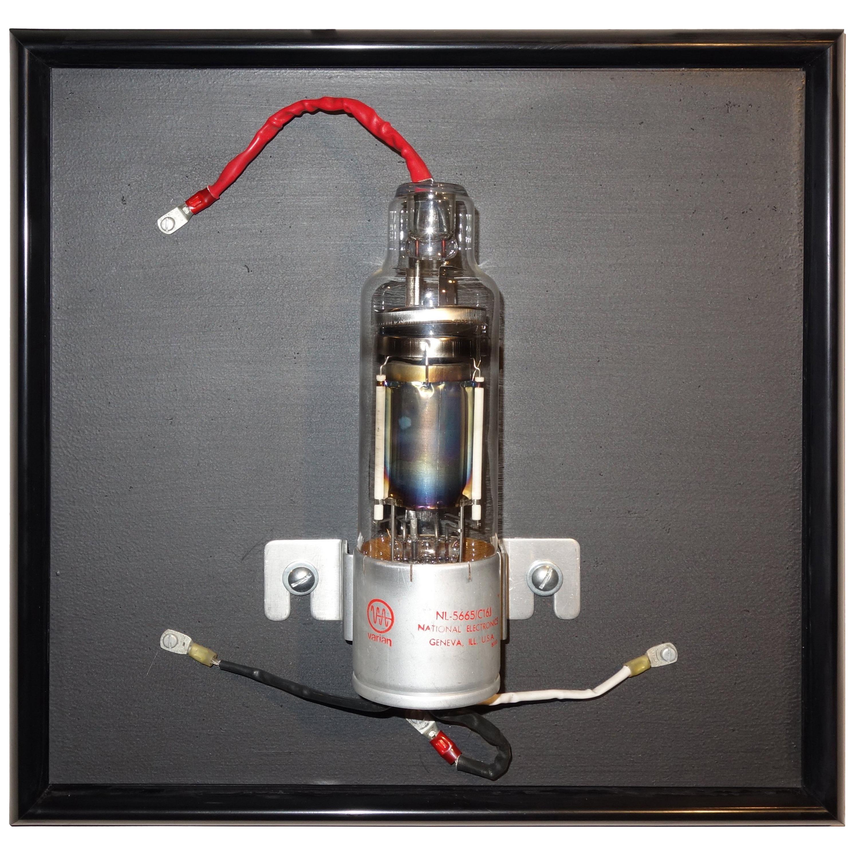 Vacuum Tube Wall Sculpture circa 1950, Rare, Bill Reiter Artist For Sale