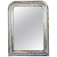 Silver Leaf Mirror Etched with a Faint Vine Surround with Original Mirror