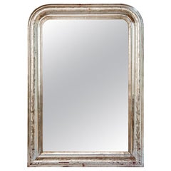 Silver Leaf Mirror with Etched Vine Design, Original Mirror