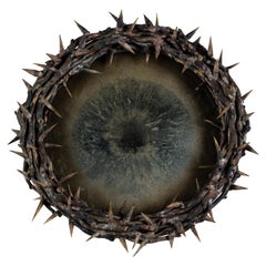 Onik Agaronyan, Miroir en forme de couronne d'épines, États-Unis, 2017.