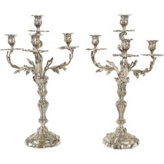 19th Century French Pair of Silvered Bronze Louis XV Style Candelabra