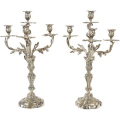 19th Century French Pair of Silvered Bronze Louis XV Style Candelabra