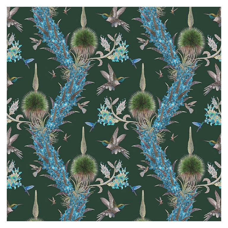 Madidi Hummingbirds in Forest Botanical Wallpaper For Sale