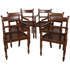 Set of Six 19th Century British Colonial Satinwood Armchairs