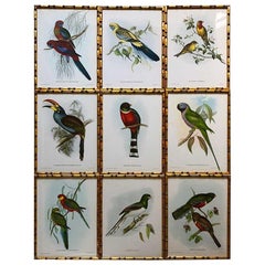 Set of Nine Bamboo Framed Hand Colored Lithographs from 1955
