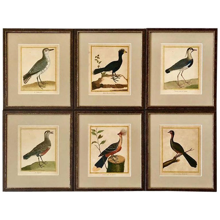 Set of Six Hand Colored Copper Plate Engravings, 1796 For Sale at 1stDibs