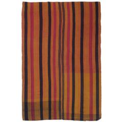 Banded Sivas "Jajim"
