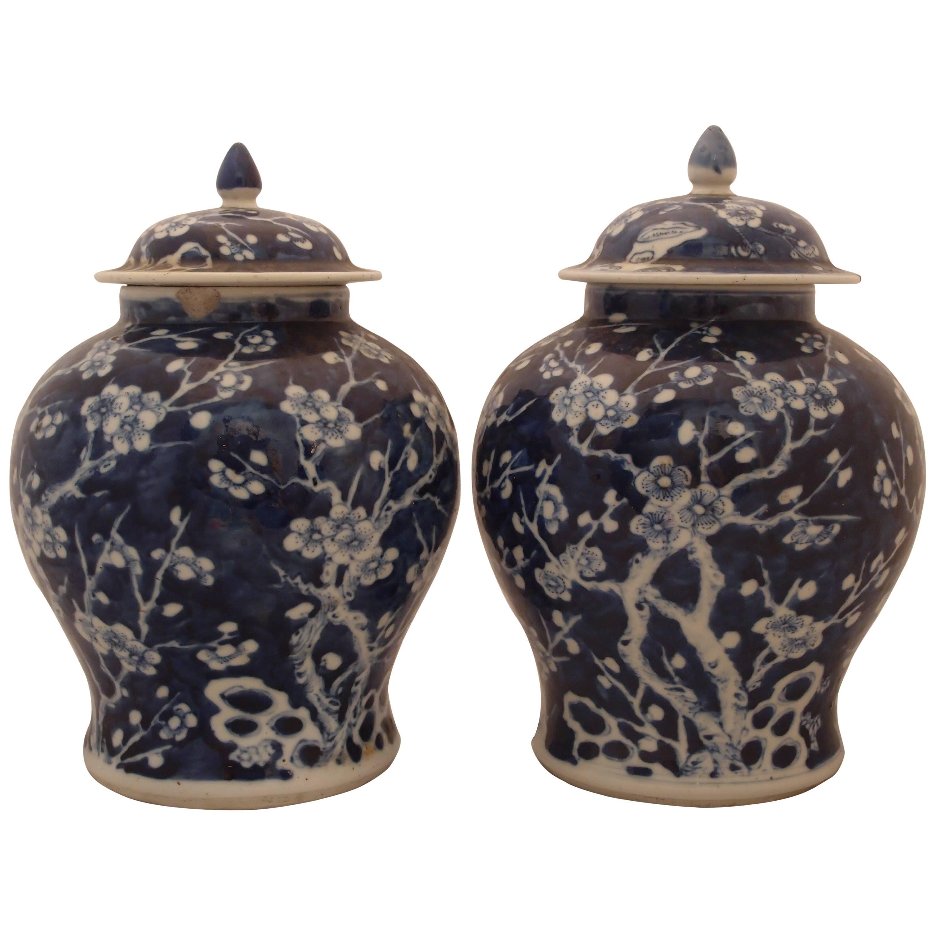 Pair of Blue Porcelain Vases