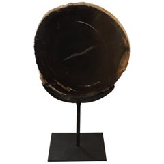 Organic Modern Sculptures and Carvings