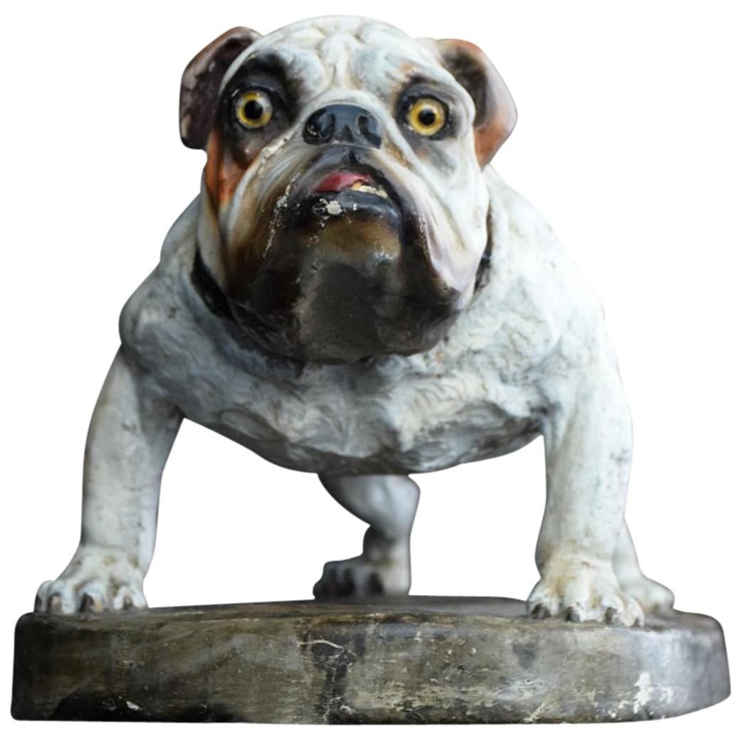 Plaster English Bull Dog Statue