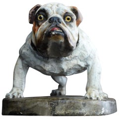 Statue Englischer Stierhund aus Gips
