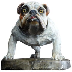 Plaster English Bull Dog Statue