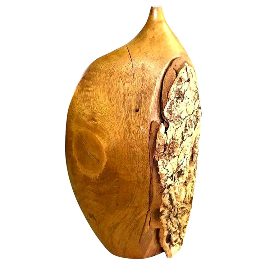 Doug Ayers Signed California Artist Large Organic Wood Turned Weed Vase For Sale