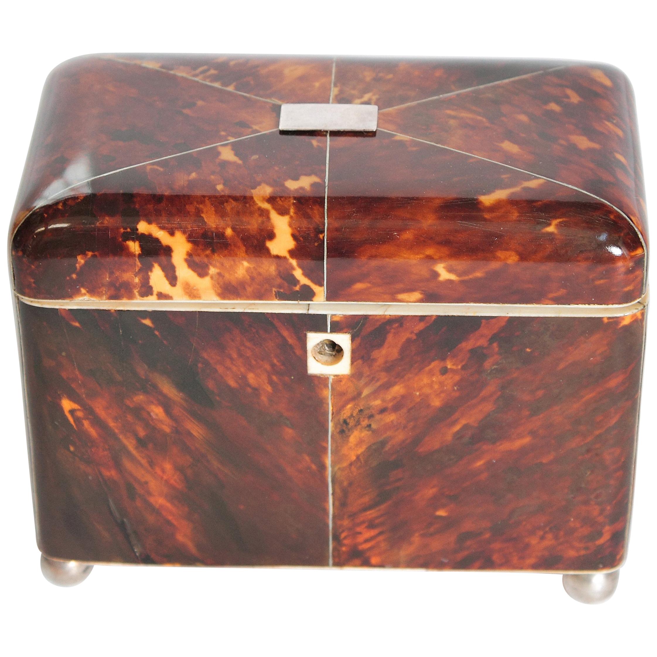 Early 19th Century English Regency Tortoiseshell Tea Caddy