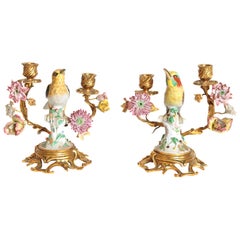Pair of Early 20th Century Italian Porcelain Birds Mounted as Candelabra
