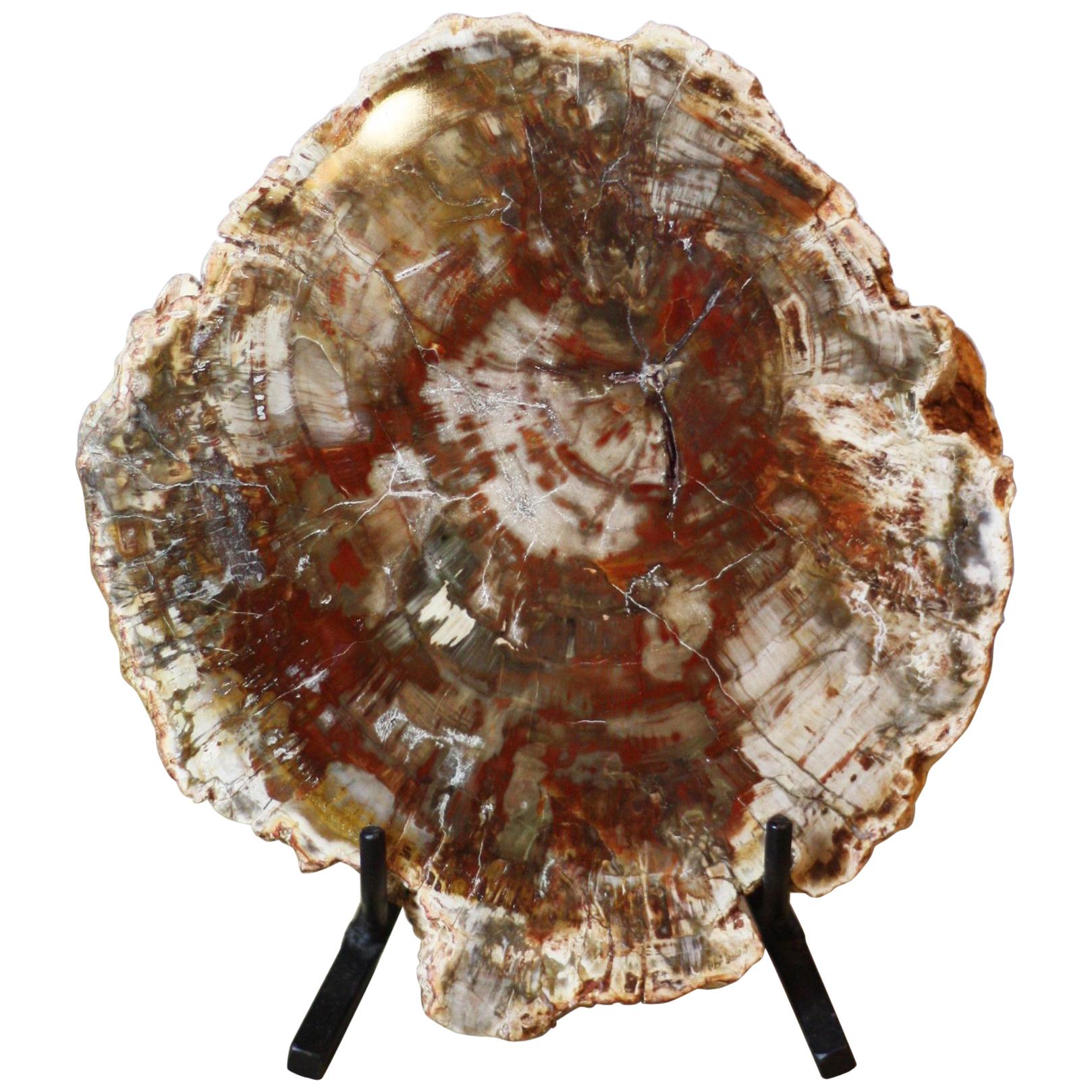 Petrified Wood on Iron Stand For Sale