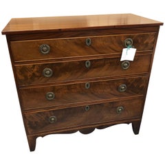 Antique English Regency Chest in Crotched Mahogany, Round Brass Pulls, Inlaid Skirt