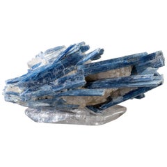 Studio Greytak 'Kyanite on Crystal Base' Blue Kyanite and Clear Quartz