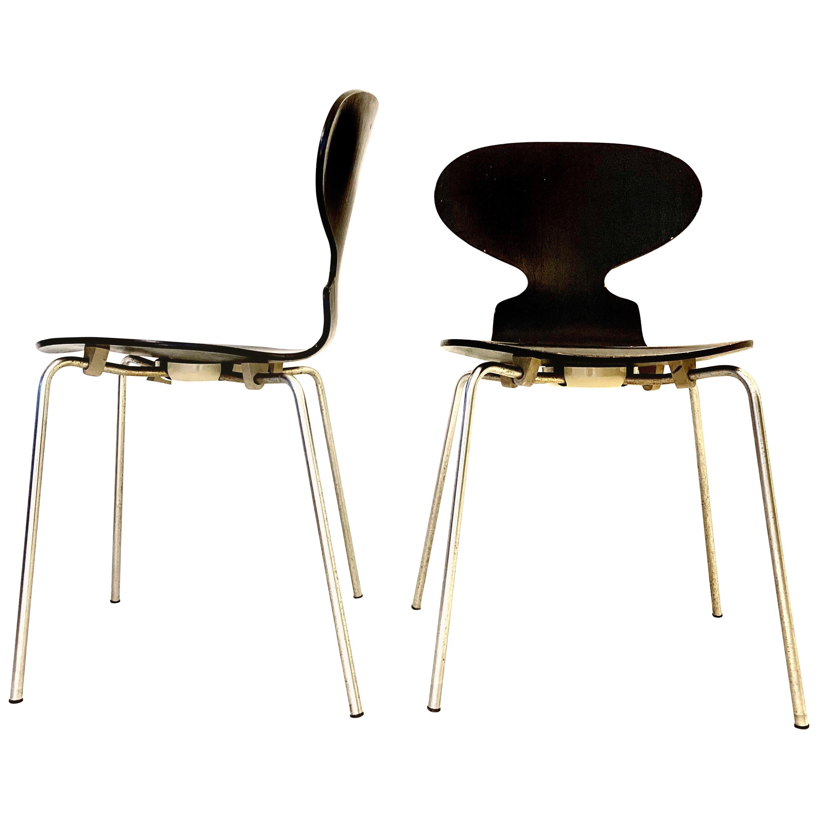 Set of 3101 Ant Chairs by Arne Jacobsen Denmark, 1970s