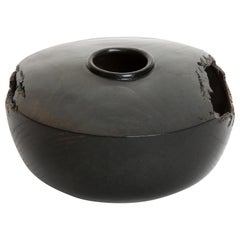 Solid Bronze "Terra" Vase / Vessel - Primal Organic Sculpture with Ebony Finish