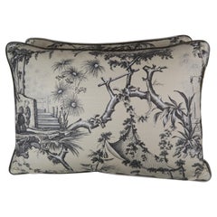 Pair of Chinoiserie Style Printed Pillows