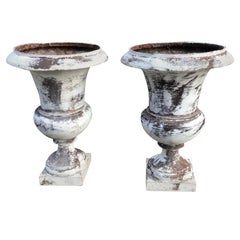 Pair of French 19th Century Cast Iron Medici Urns