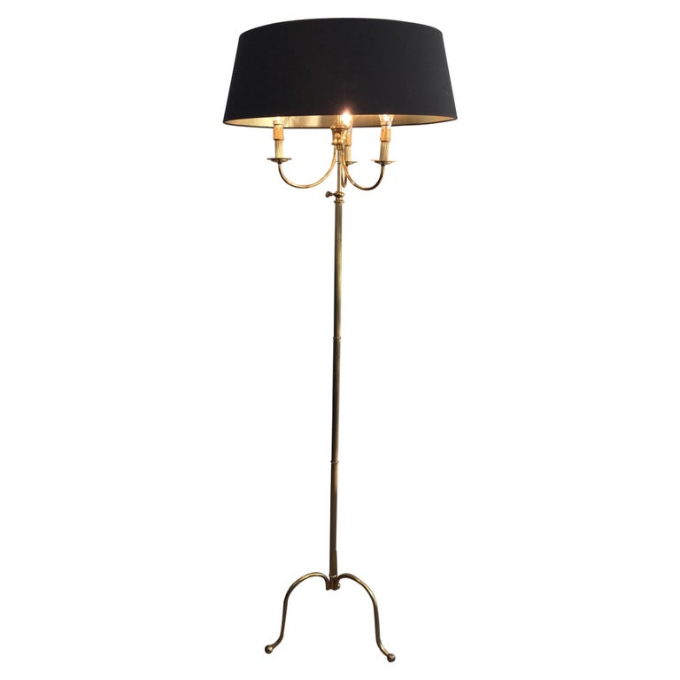 Neoclassical Tripode Brass Floor Lamp  For Sale