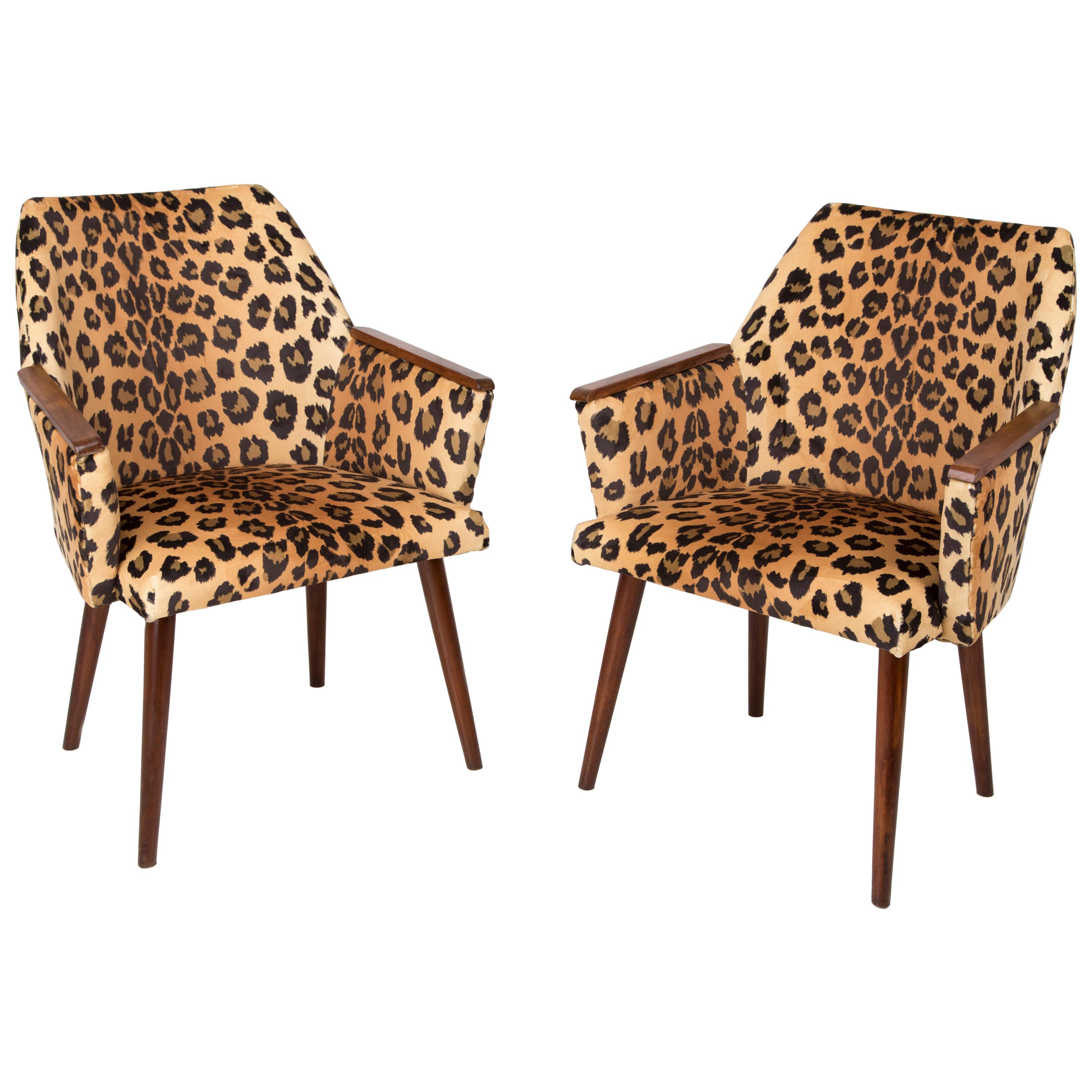 Set of Two Mid-Century Modern Leopard Print Chairs, 1960s, Germany