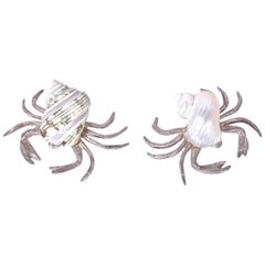 Pair of Ogetti Hermit Crabs