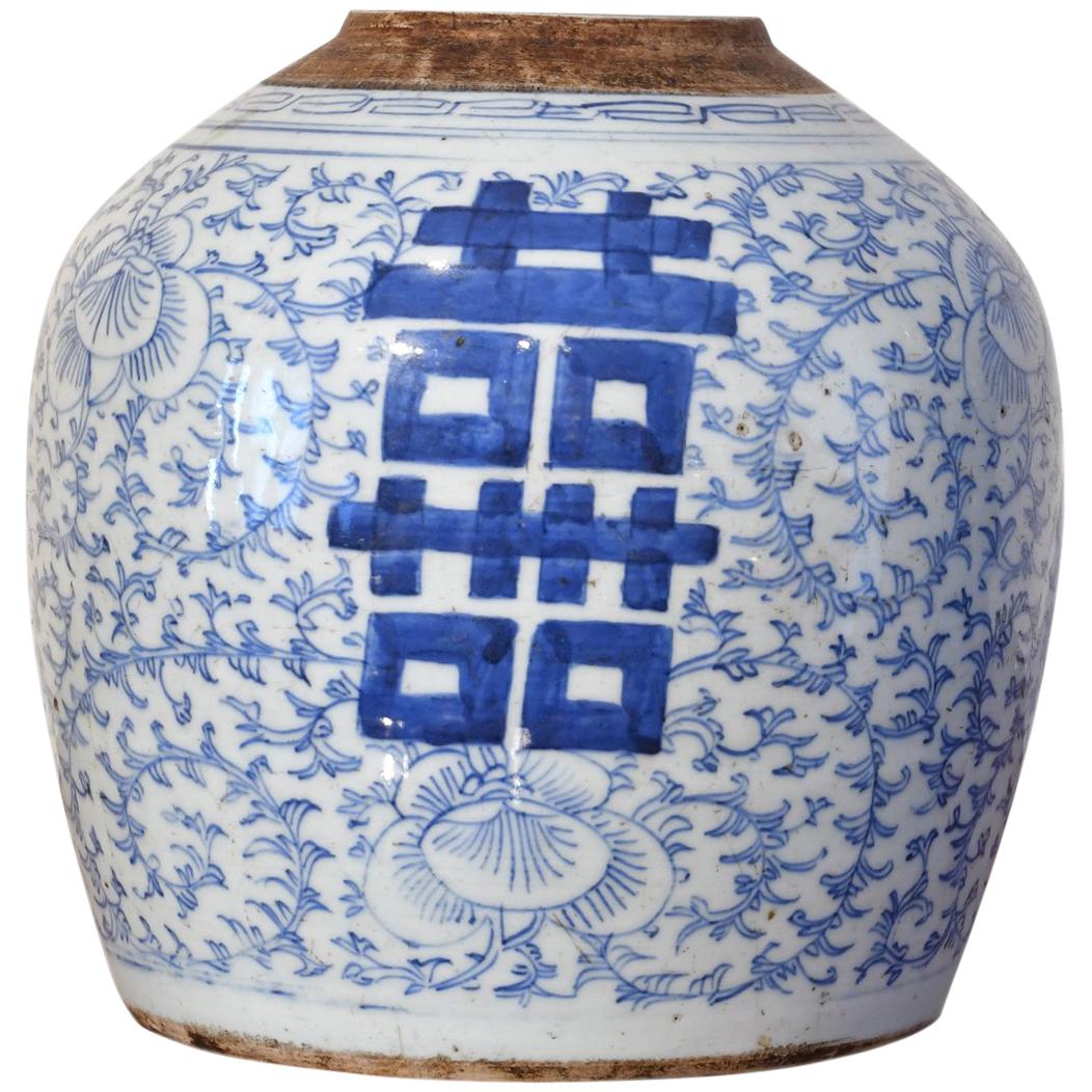 18th Century Chinese Porcelain Blue and White Shuang-xi Jar