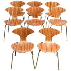 Ross Lovegrove Dining Chairs