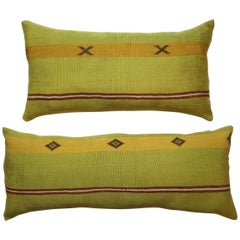 Pair of Cactus Silk Pillows