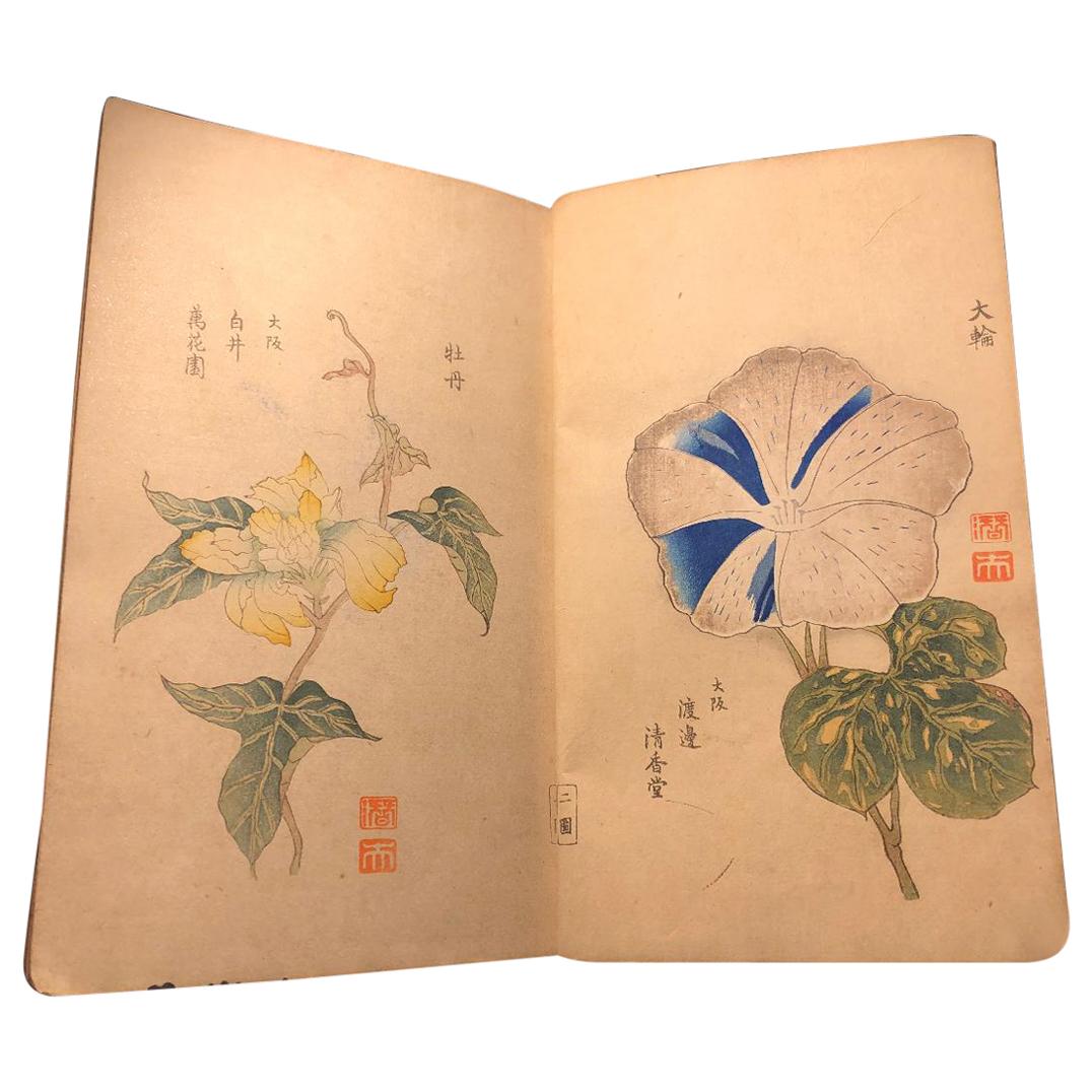 Important Japan Antique Woodblock Morning Glories 46 Vibrant Color Prints, 1903
