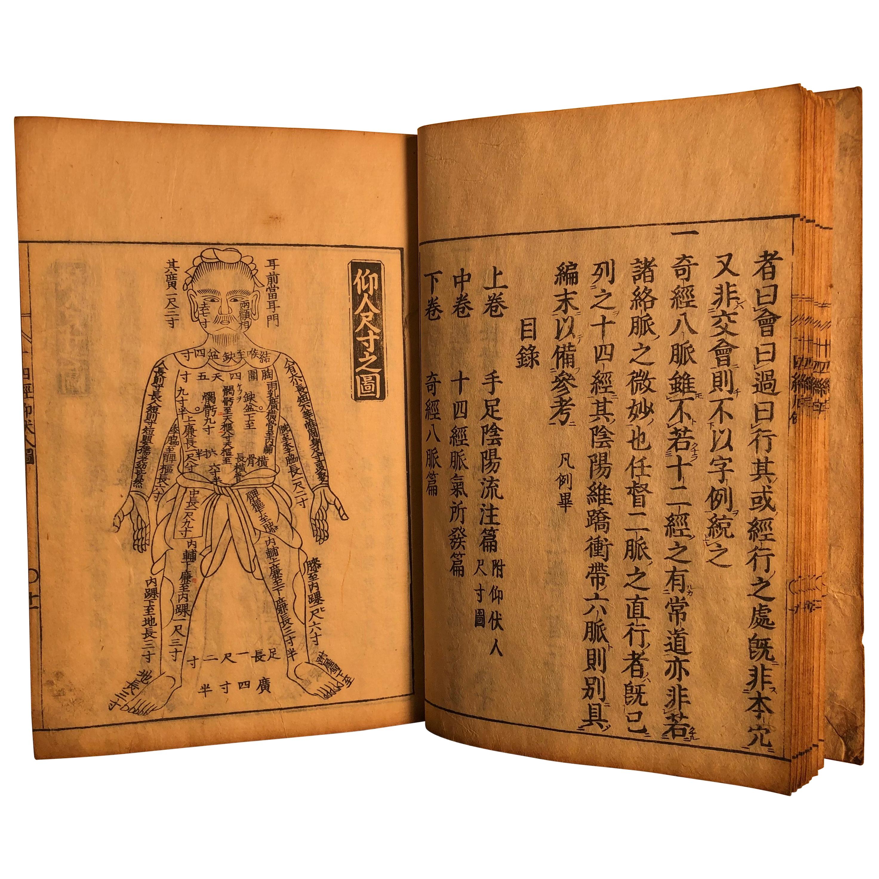 Important Acupuncture Japanese Antique Woodblock Guide Book, 19th Century Prints