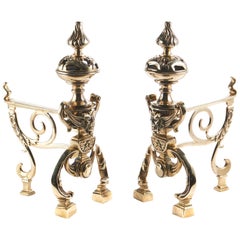 Pair of 19th Century Cast Brass Fireside Dogs