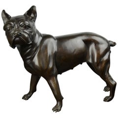 Französische Bulldogge in Lebensgröße aus Bronze, Statue eines Bostoner Terriers