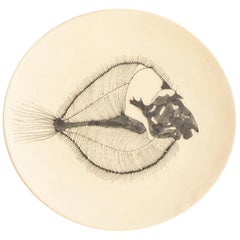 Vintage Small Handmade Ceramic Plates with Fish Fossil Illustration